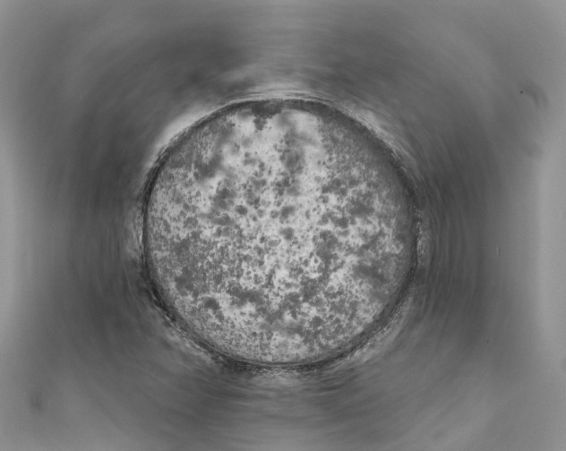 X0000111001358200907171804