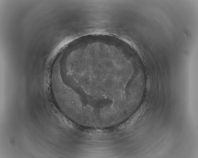 X0000111001359200907171804