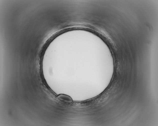 X0000111001360200907171804