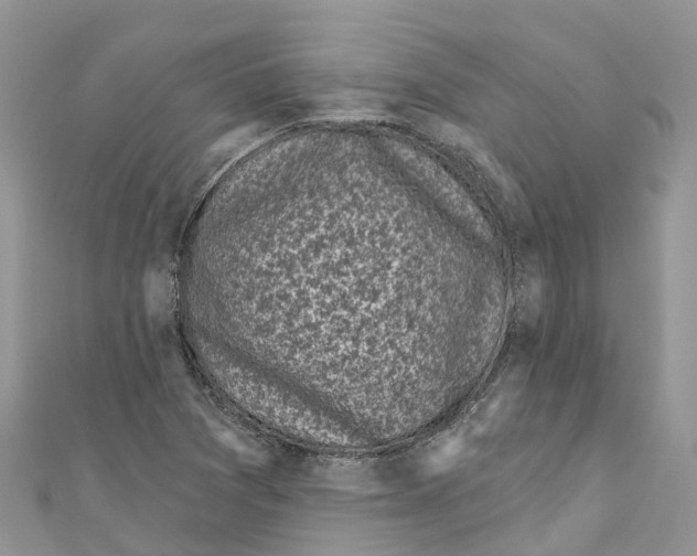 X0000111001361200907171804