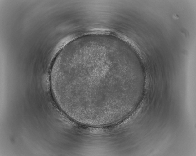 X0000111001362200907171804