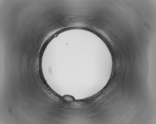 X0000111001364200907171804