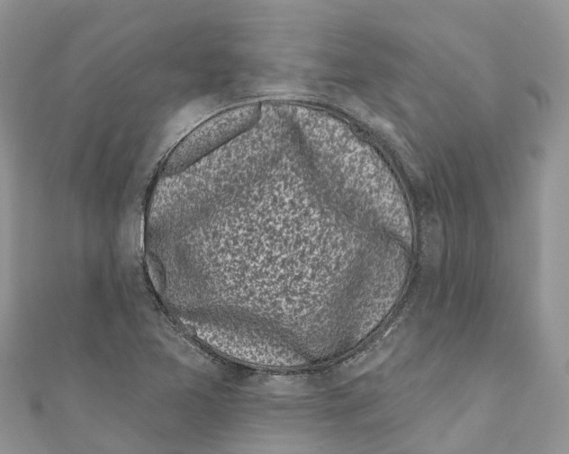 X0000111001365200907171804