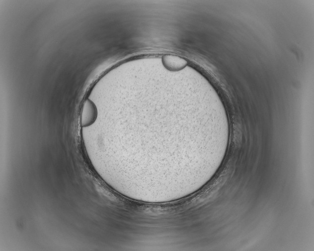 X0000111001366200907171804