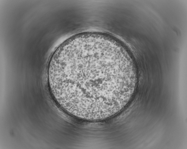 X0000111001367200907171804