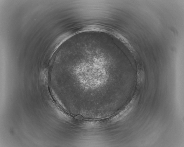 X0000111001369200907171804