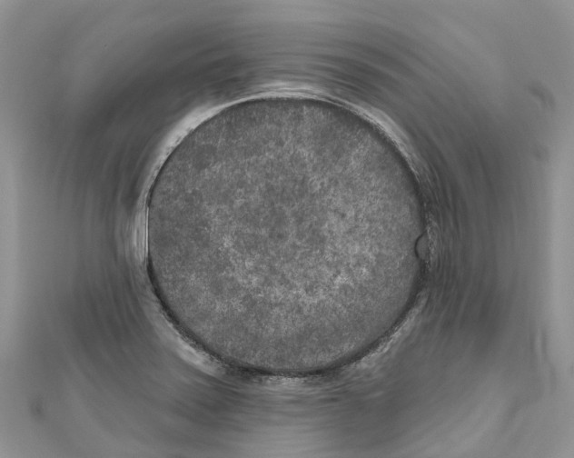 X0000111001371200907171804