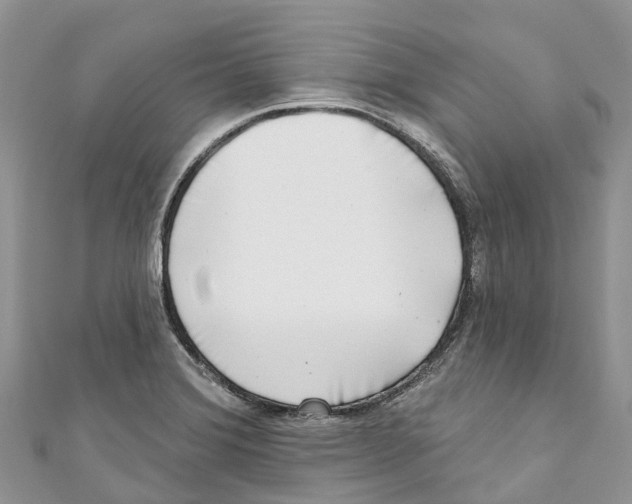 X0000111001372200907171804