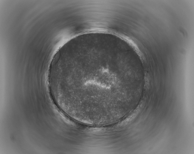 X0000111001373200907171804