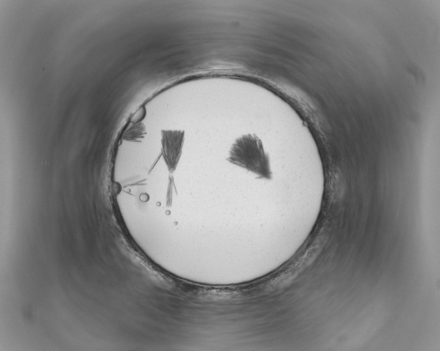 X0000111001374200907171804