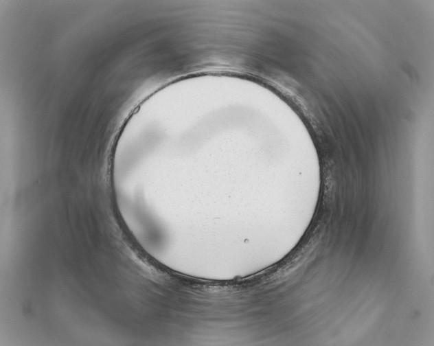 X0000111001375200907171804