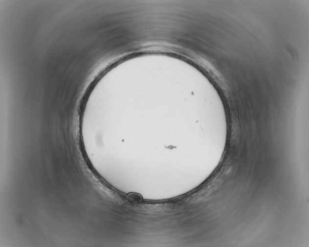 X0000111001376200907171804