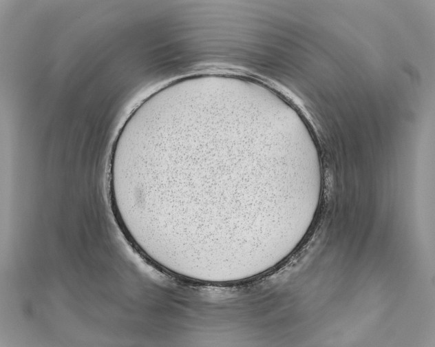 X0000111001379200907171804