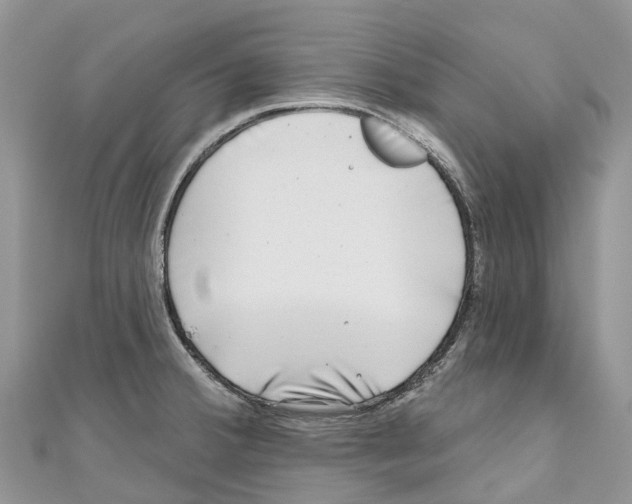 X0000111001380200907171804