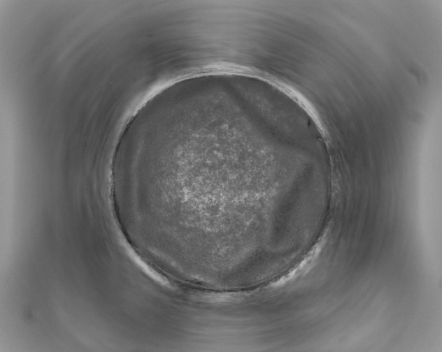 X0000111001381200907171804