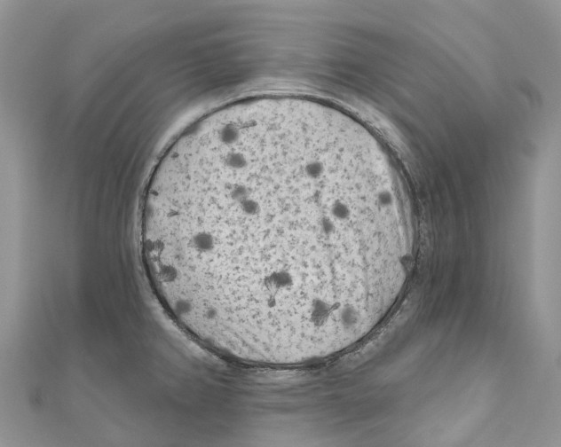 X0000111001382200907171804