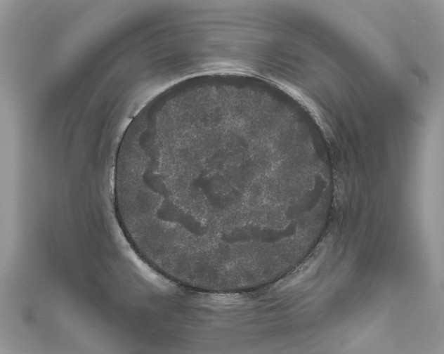 X0000111001383200907171804