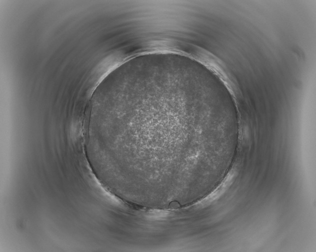 X0000111001385200907171804