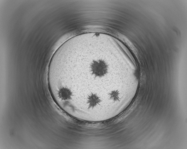 X0000111001386200907171804