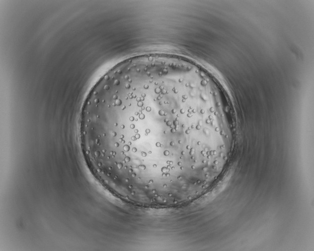 X0000111001389200907171804