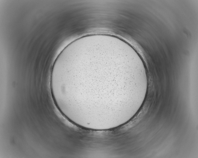 X0000111001390200907171804