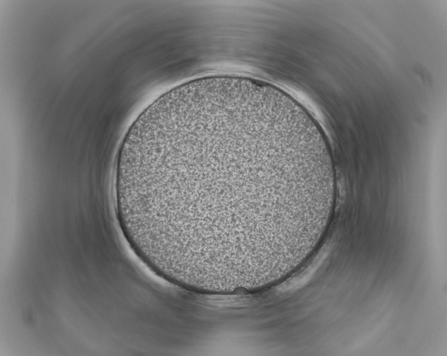 X0000111001391200907171804