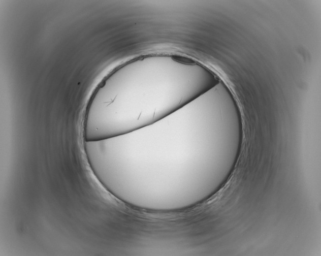 X0000111001392200907171804