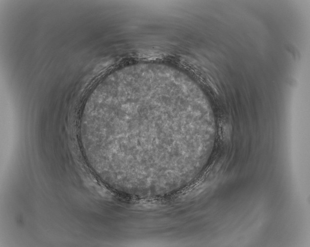 X0000111001393200907171803