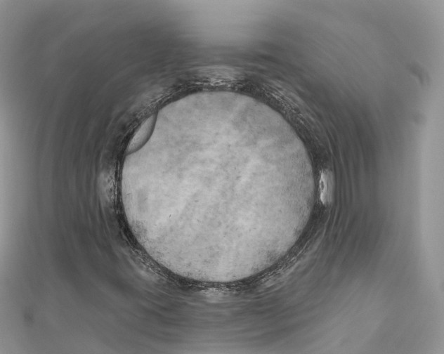 X0000111001395200907171803