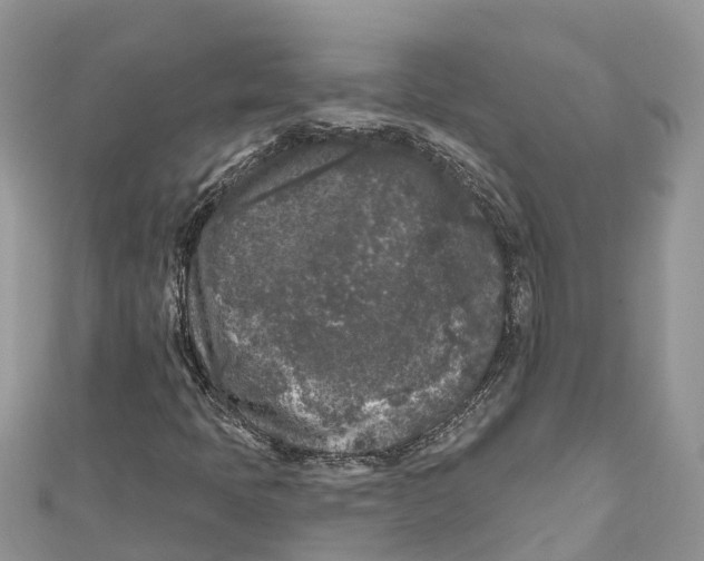 X0000111001397200907171803