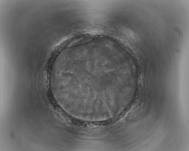 X0000111001398200907171803