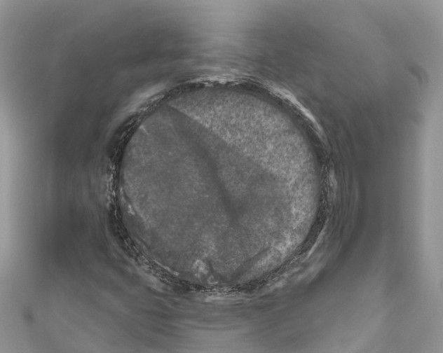 X0000111001399200907171803