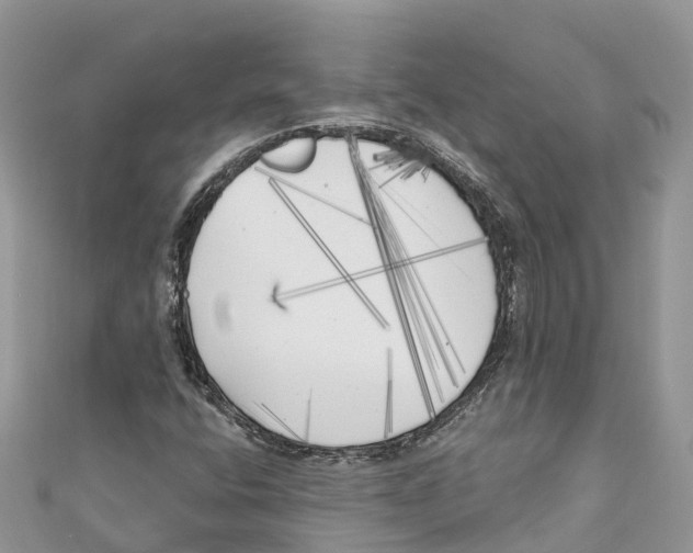 X0000111001400200907171803