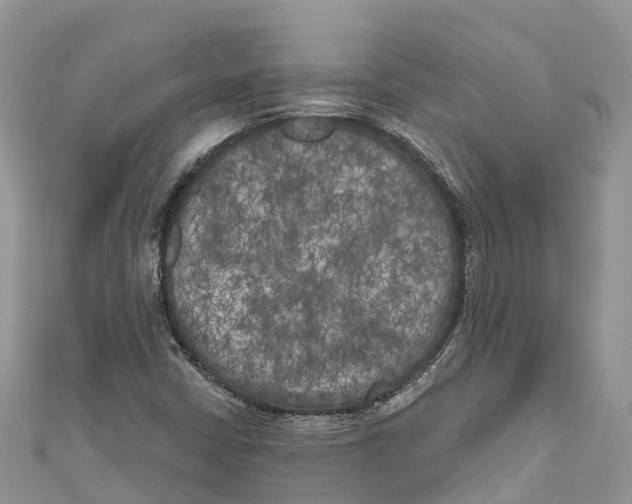 X0000111001402200907171803