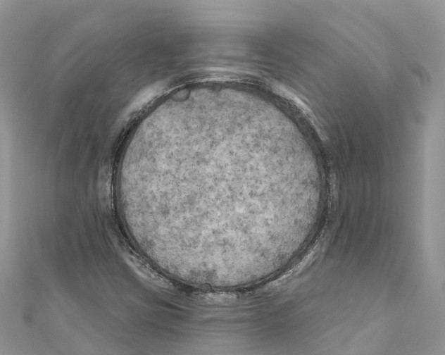 X0000111001403200907171803