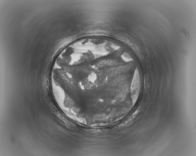 X0000111001405200907171803