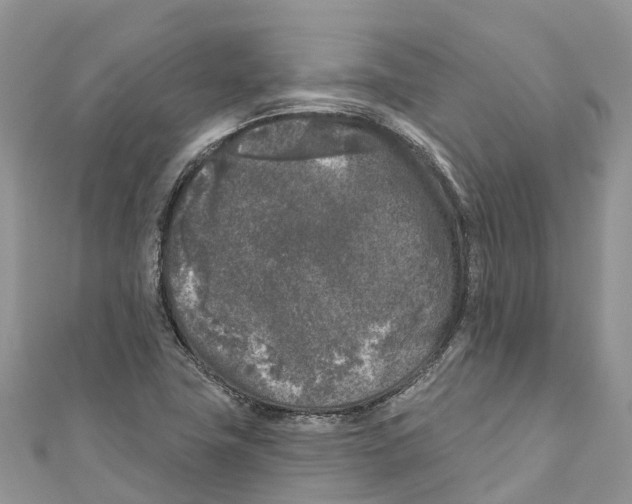 X0000111001411200907171803