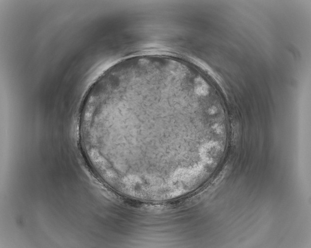 X0000111001415200907171803