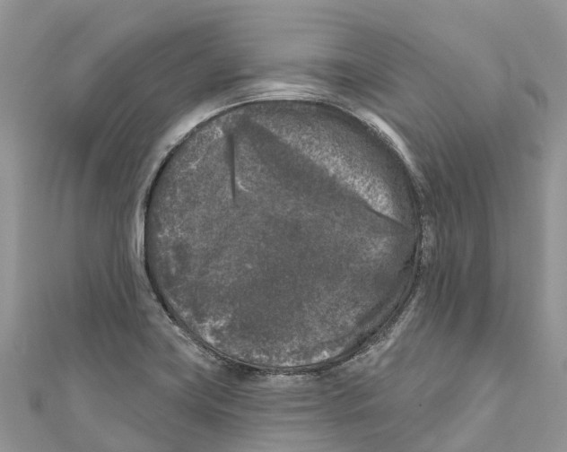 X0000111001419200907171803