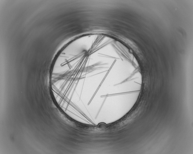 X0000111001420200907171803