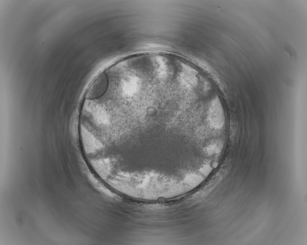 X0000111001421200907171803