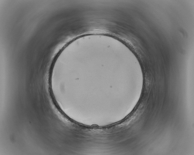 X0000111001422200907171803