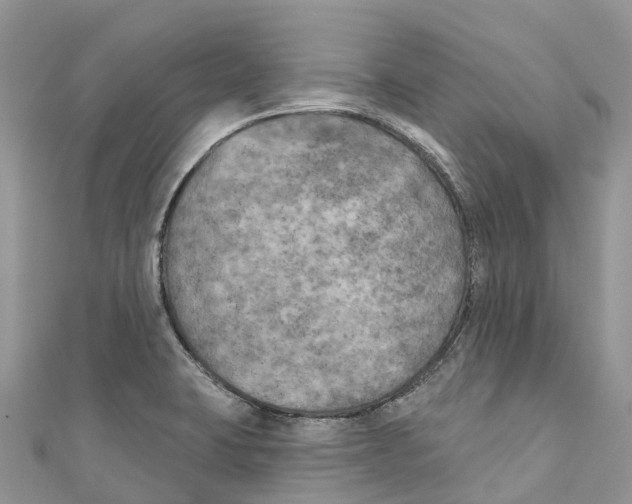 X0000111001423200907171803