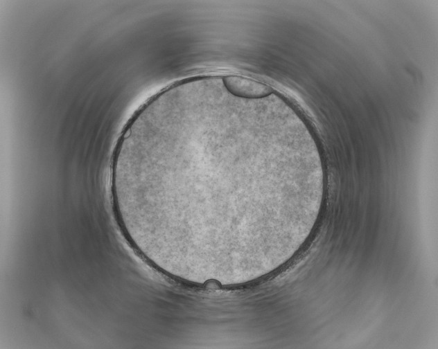 X0000111001424200907171803