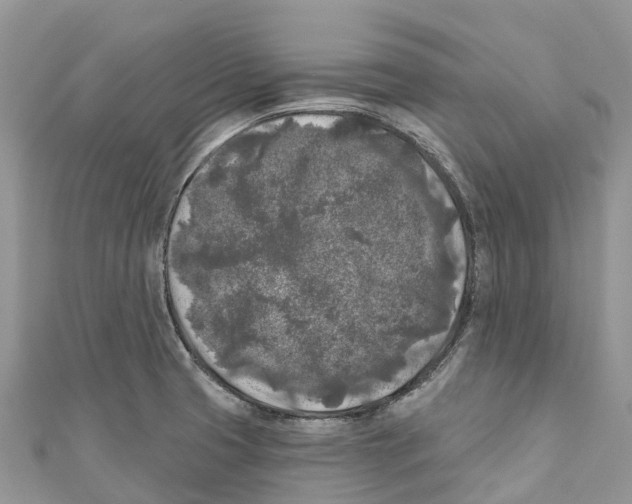 X0000111001425200907171803