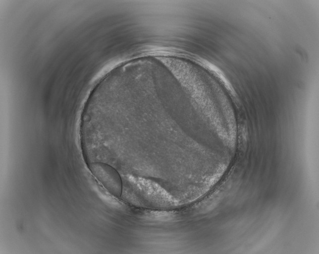 X0000111001427200907171803