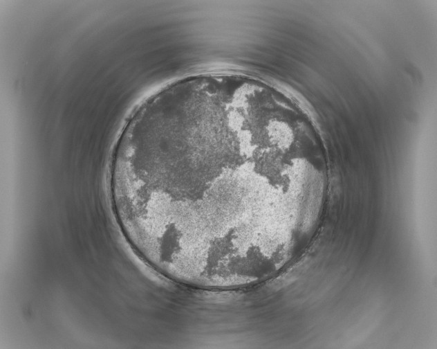 X0000111001429200907171803