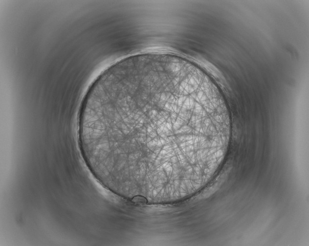 X0000111001430200907171803