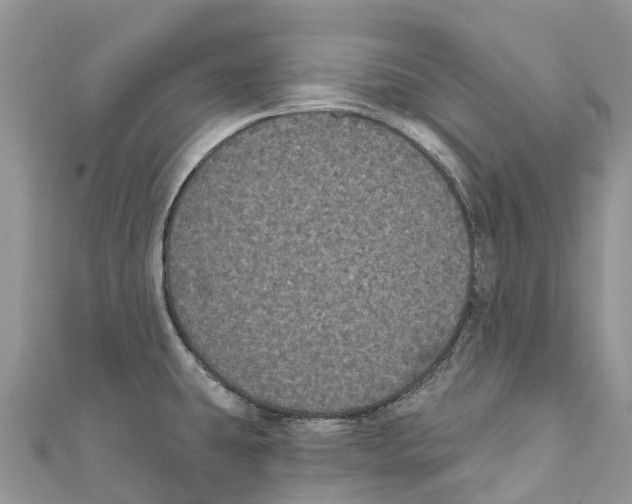 X0000111001431200907171803