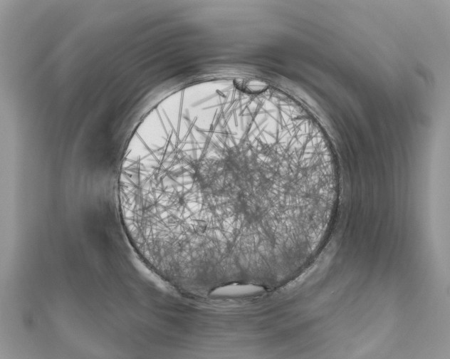 X0000111001433200907171803